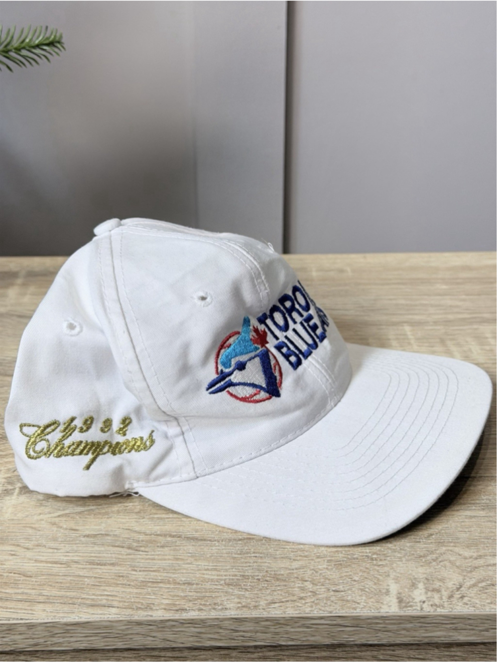 Toronto Blue Jays 1992 World Series Champs RARE Vintage Snapback Hat THE GAME